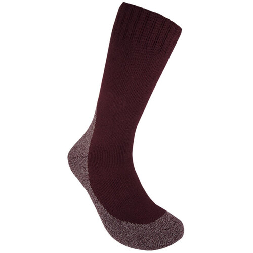 WORKWEAR, SAFETY & CORPORATE CLOTHING SPECIALISTS  - Thick Work Sock