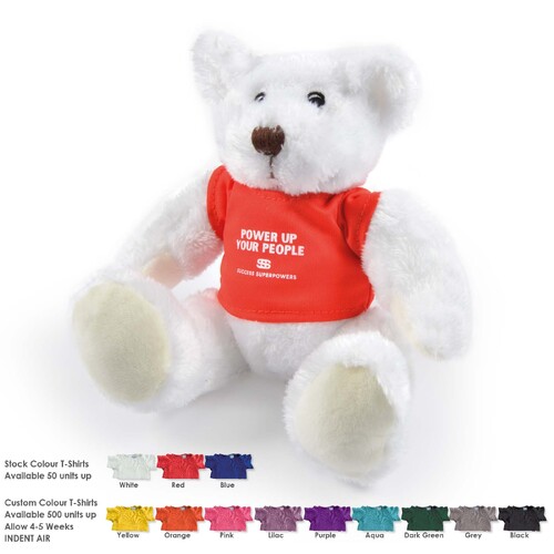 WORKWEAR, SAFETY & CORPORATE CLOTHING SPECIALISTS  - Frosty Plush Teddy Bear