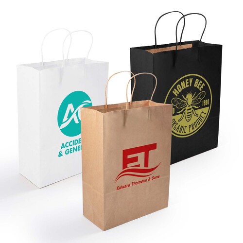 WORKWEAR, SAFETY & CORPORATE CLOTHING SPECIALISTS  - Express Paper Bag Medium
