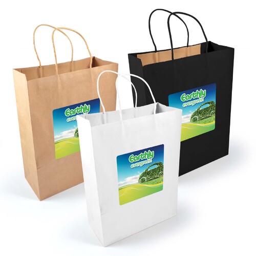 WORKWEAR, SAFETY & CORPORATE CLOTHING SPECIALISTS  - Express Paper Bag Large