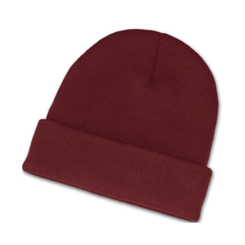 WORKWEAR, SAFETY & CORPORATE CLOTHING SPECIALISTS  - Everest Beanie