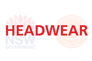 Headwear