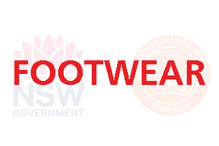 Footwear